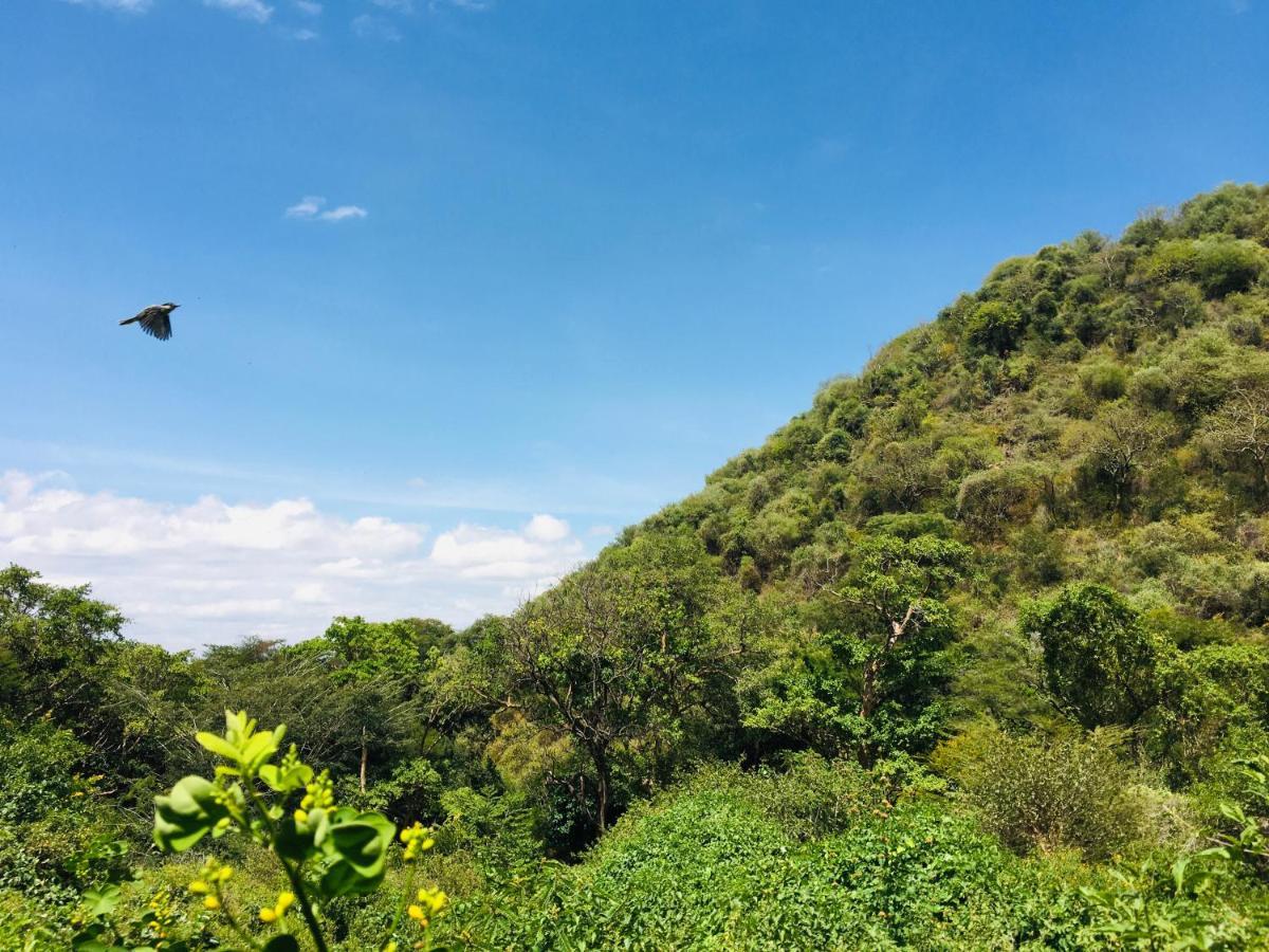 Mto wa MbuAva Garden Backpackers公寓 外观 照片