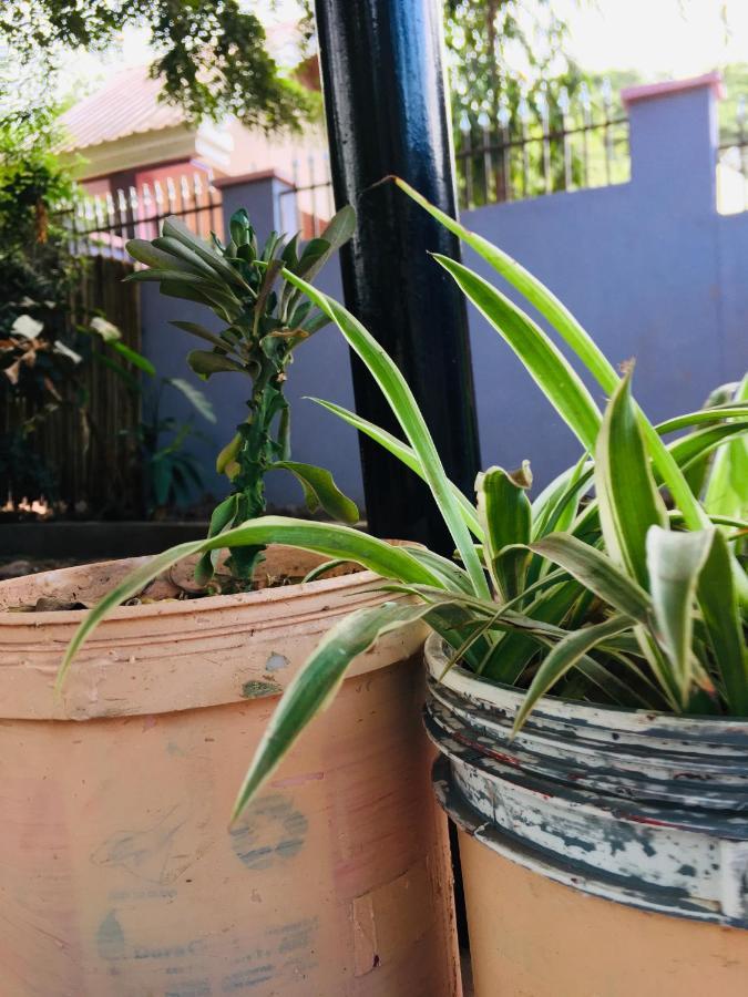 Mto wa MbuAva Garden Backpackers公寓 外观 照片